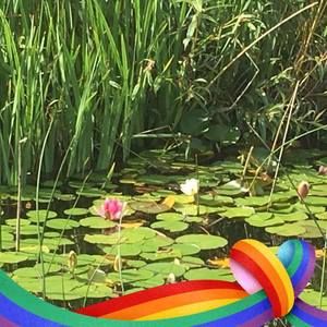 Meet your Posher, Richard